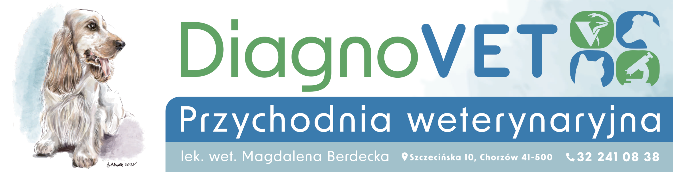 Przychodnia Weterynaryjna DIAGNOWET w Chorzowie